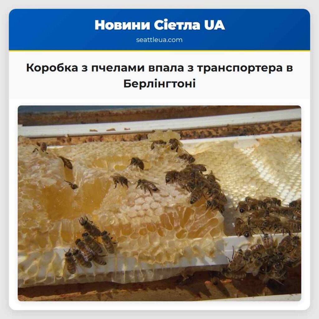 Коробка з пчелами впала з транспортера в