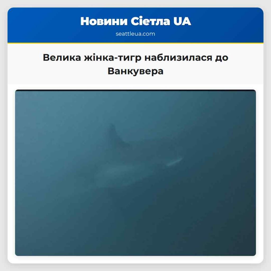 Велика жінка-тигр наблизилася до Ванкувера