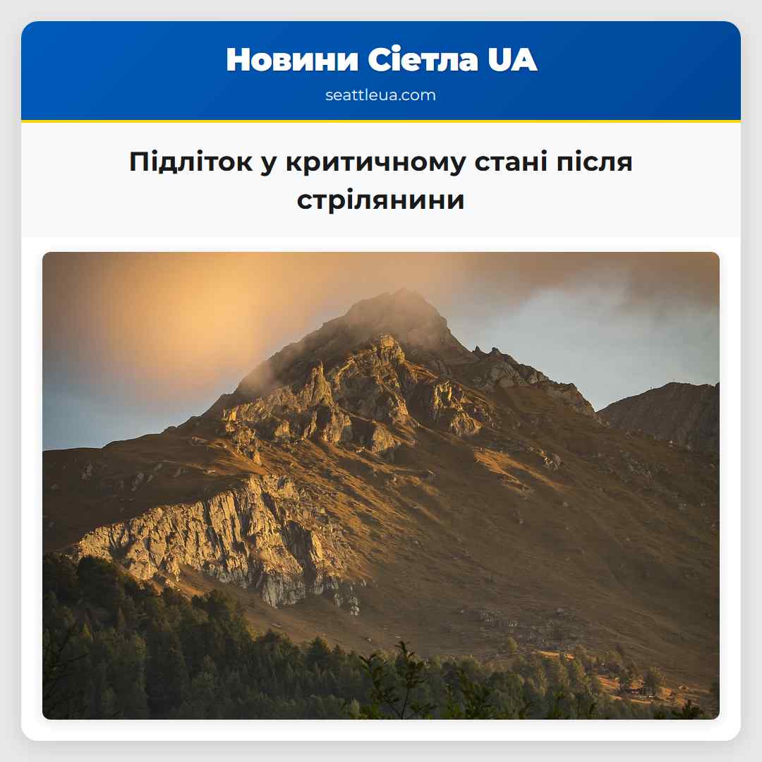 Підліток у критичному стані після стрілянини
