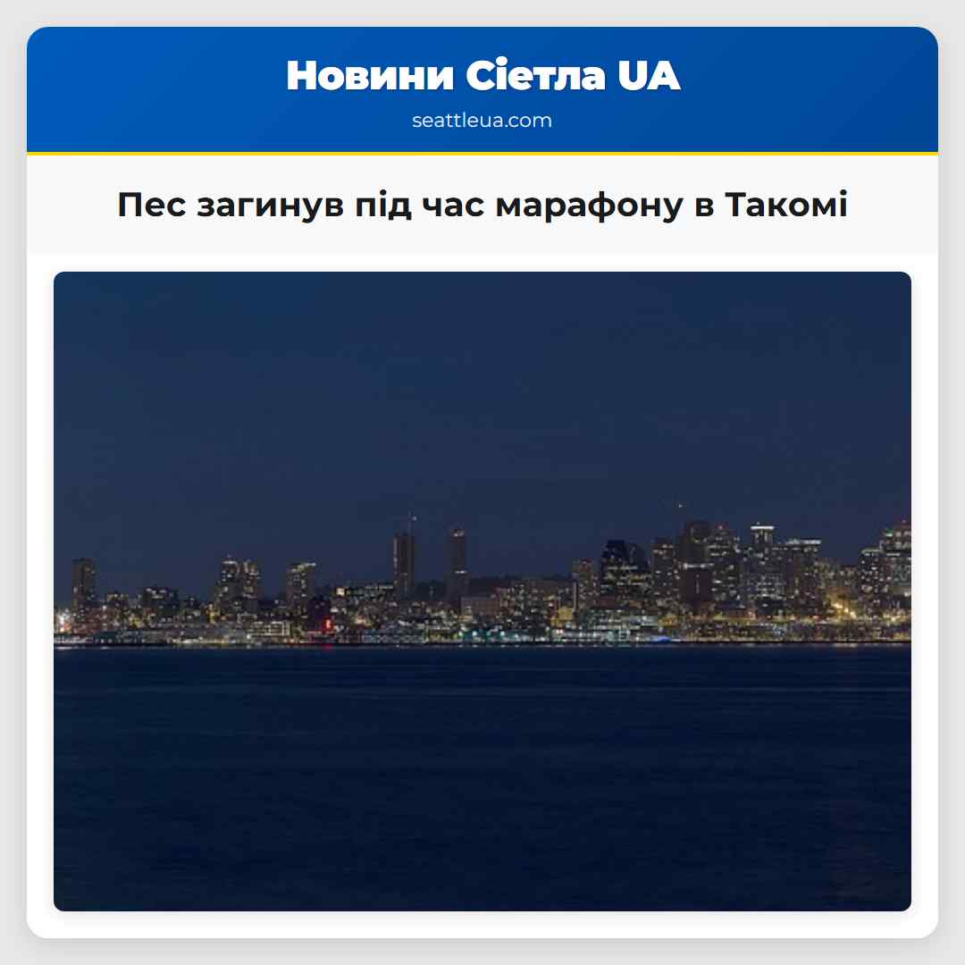 Пес загинув під час марафону в Такомі