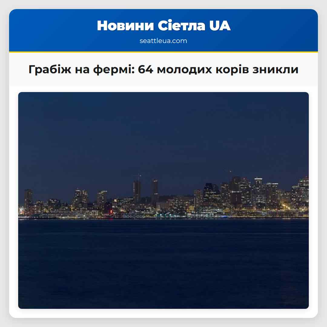 Грабіж на фермі 64 молодих корів зникли