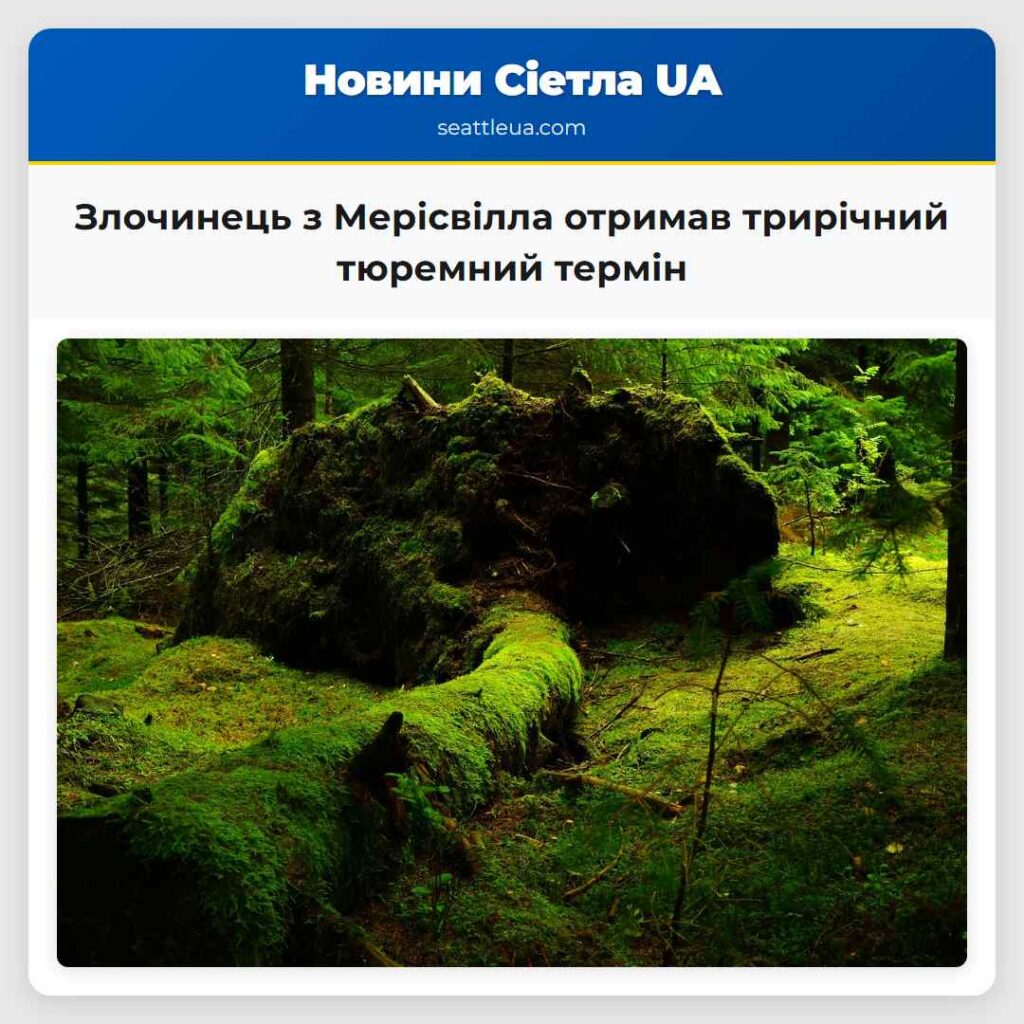 Злочинець з Мерісвілла отримав трирічний тюремний