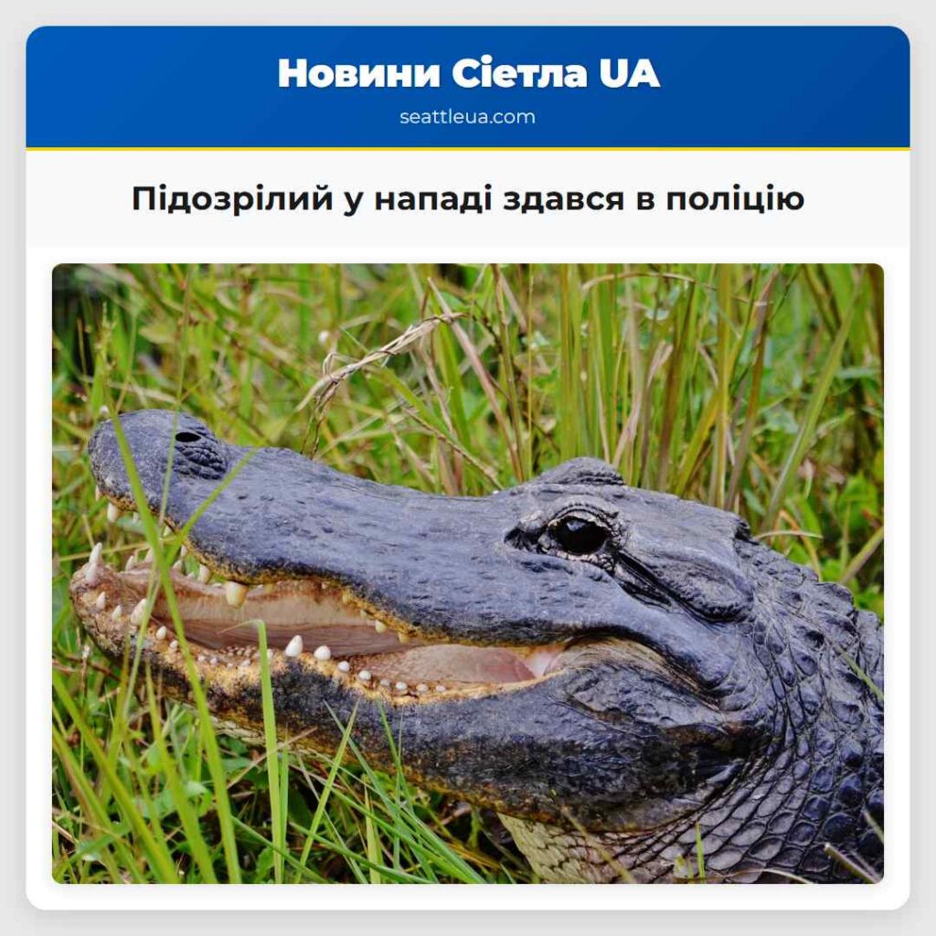 Підозрілий у нападі здався в поліцію