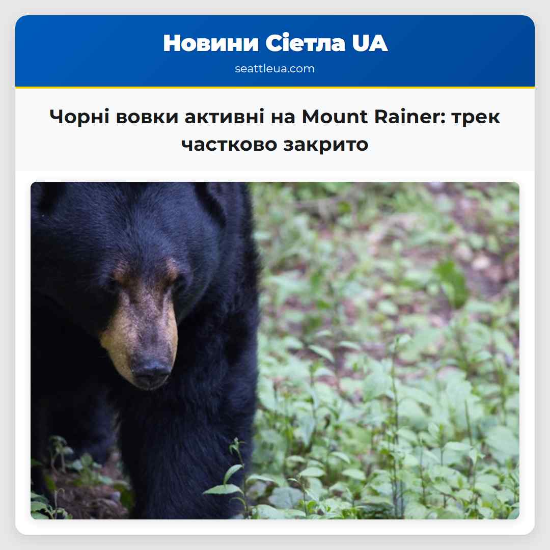 Чорні вовки активні на Mount Rainer трек частково закрито