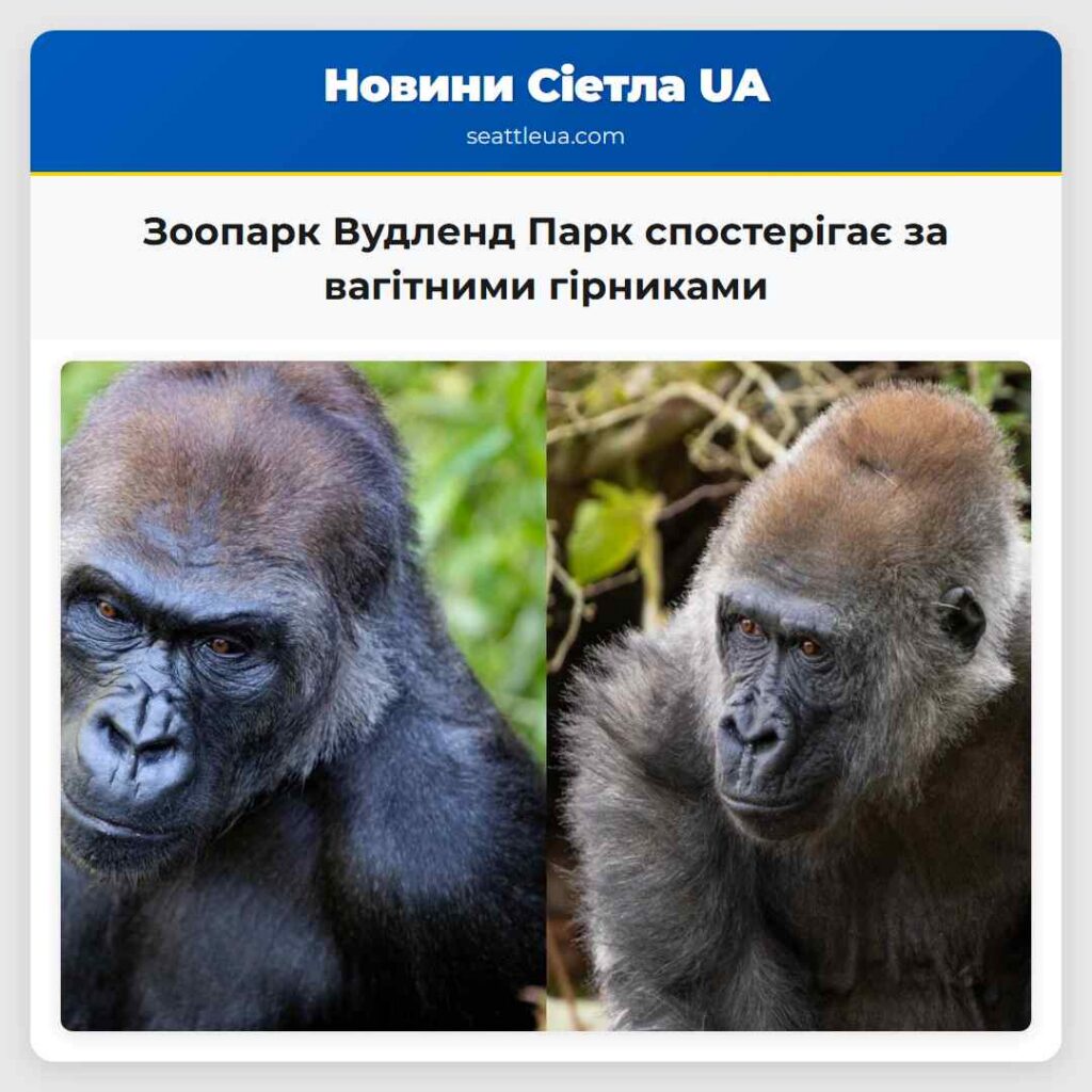 Зоопарк Вудленд Парк спостерігає за вагітними