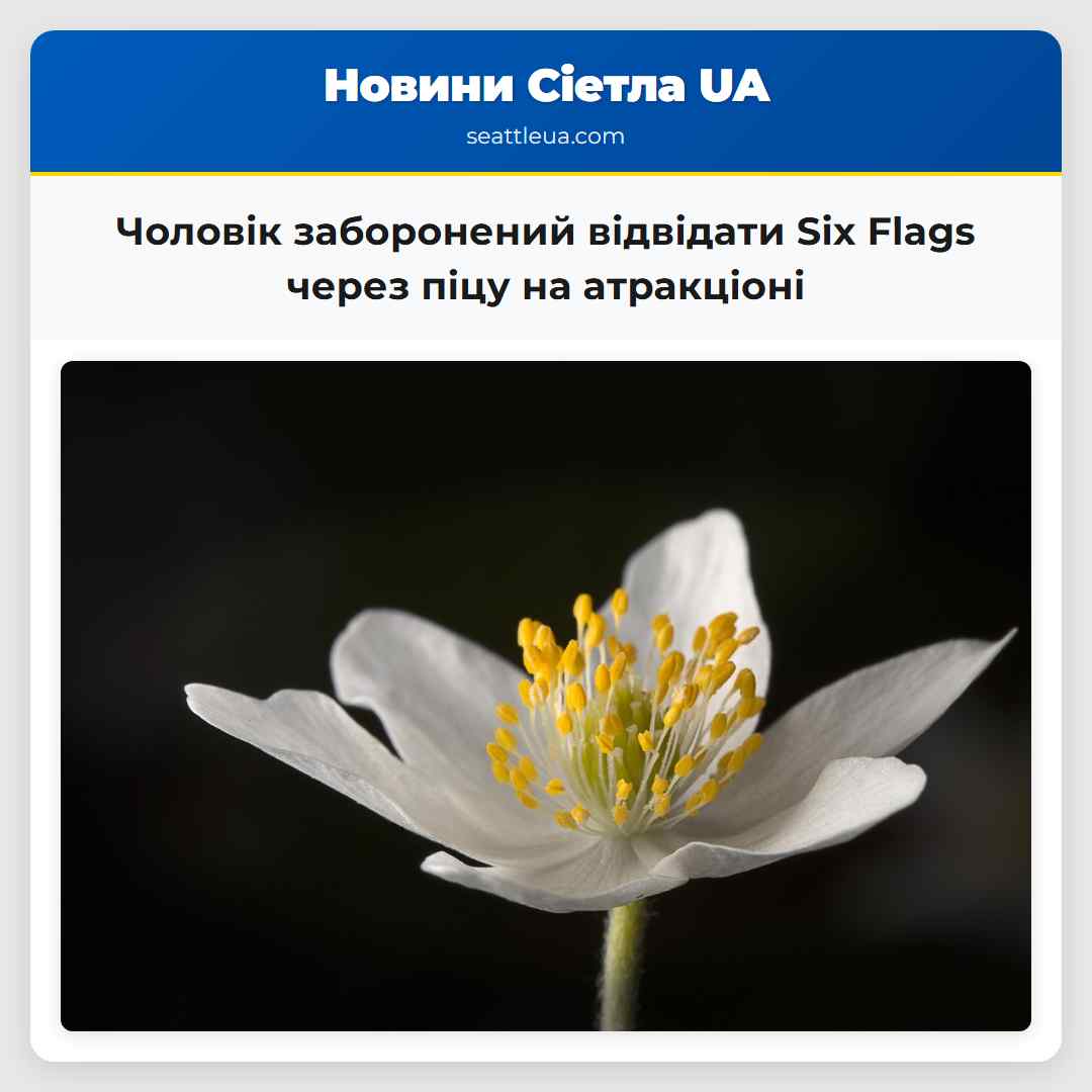 Чоловік заборонений відвідати Six Flags через піцу на атракціоні