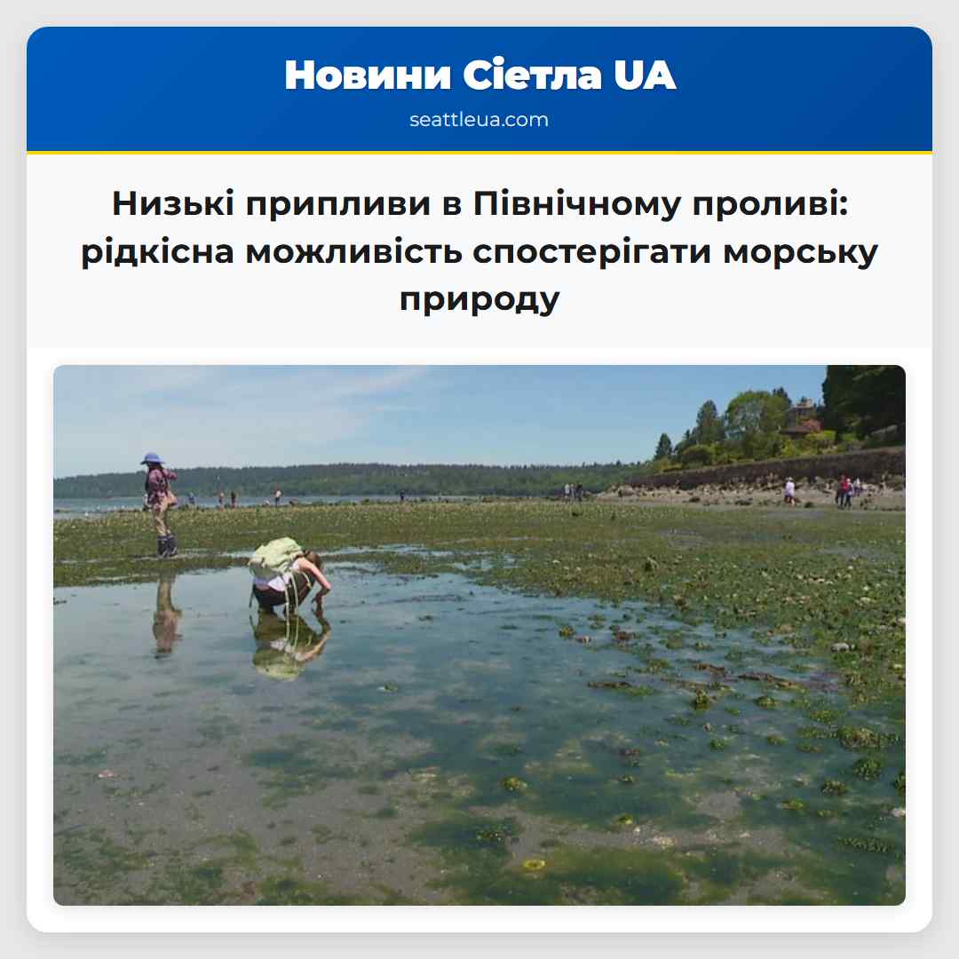 Низькі припливи в Північному проливі: рідкісна