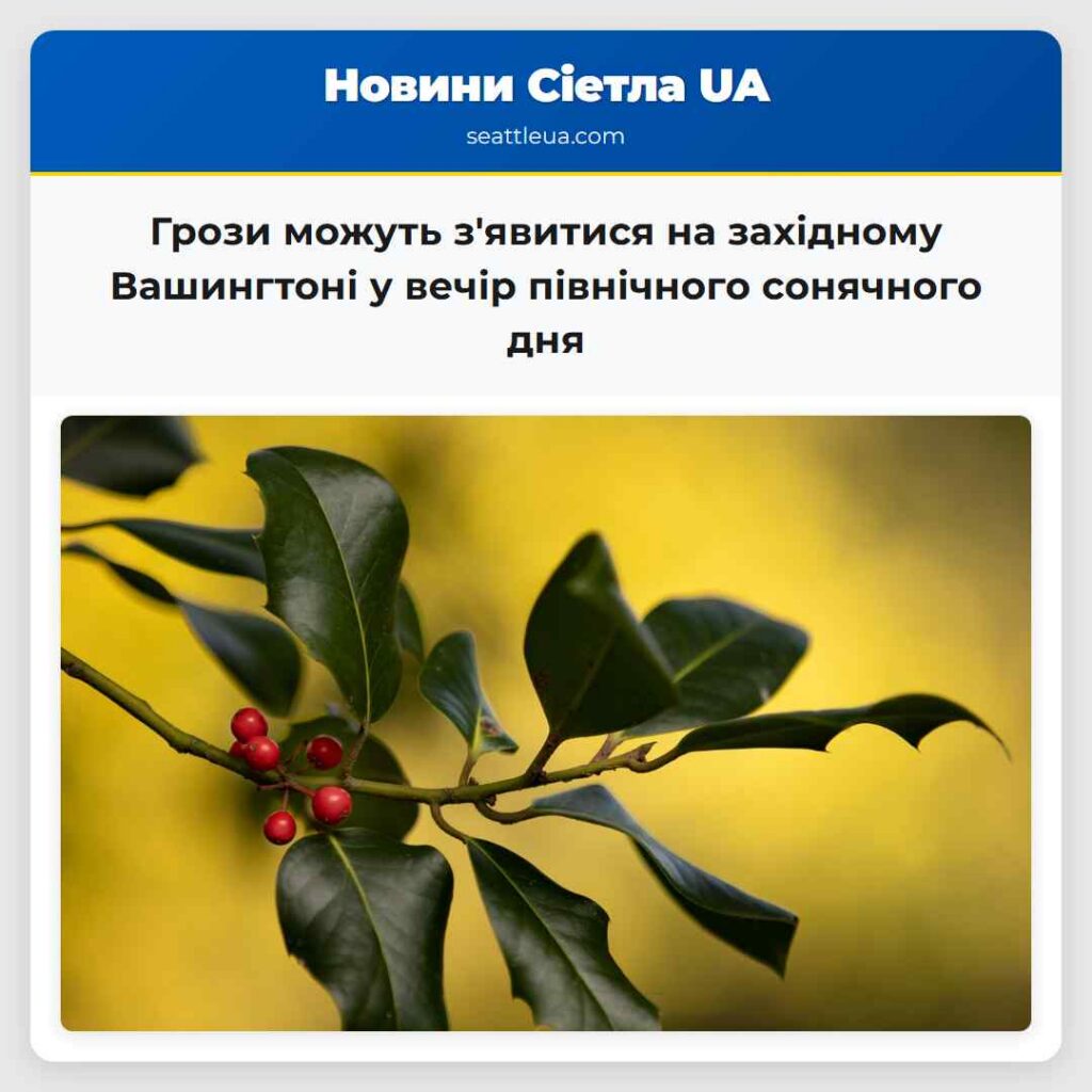 Грози можуть з'явитися на західному Вашингтоні у