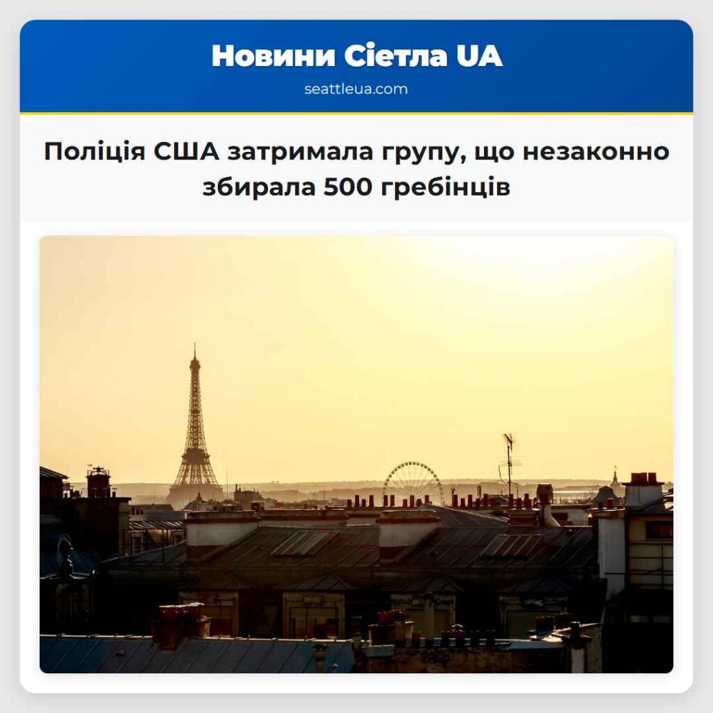 Поліція США затримала групу, що незаконно збирала
