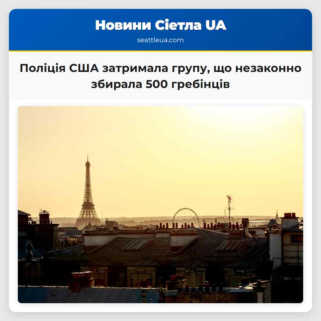 Поліція США затримала групу що незаконно збирала 500 гребінців