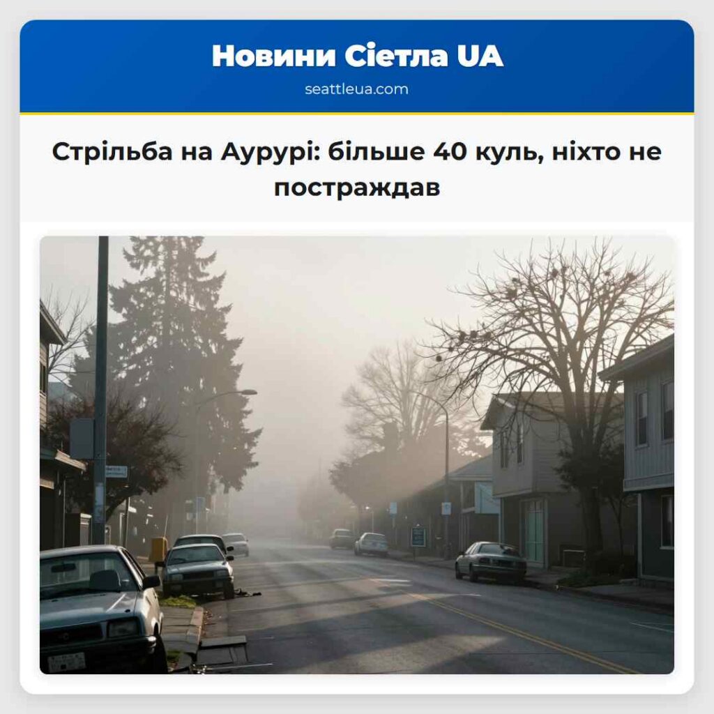 Стрільба на Аурурі: більше 40 куль, ніхто не