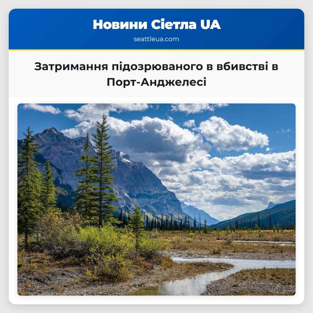 Затримання підозрюваного в вбивстві в