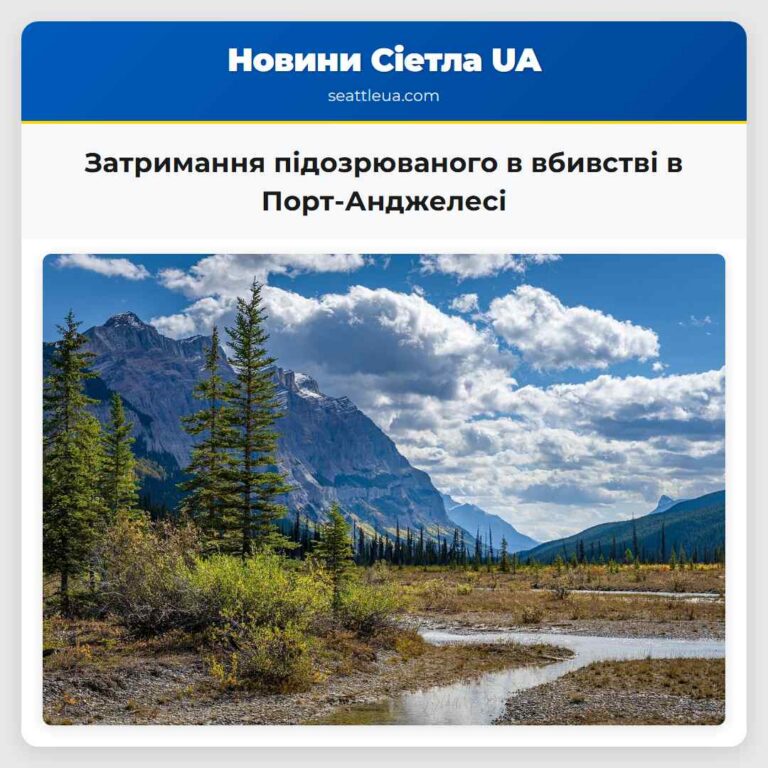 Затримання підозрюваного в вбивстві в Порт-Анджелесі