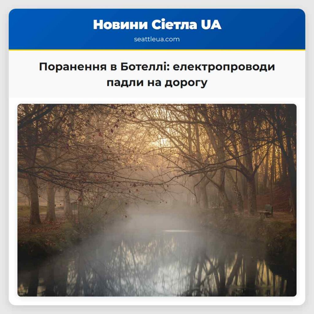 Поранення в Ботеллі: електропроводи падли на