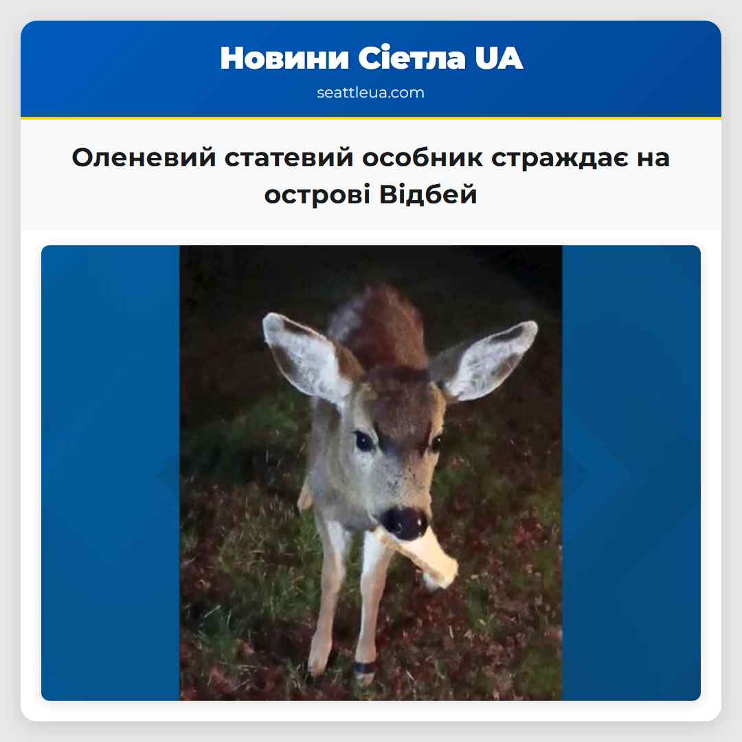 Оленевий статевий особник страждає на острові Відбей