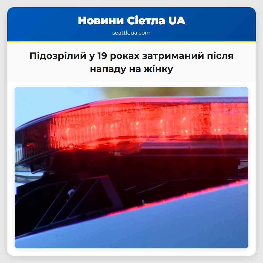 Підозрілий у 19 роках затриманий після нападу на жінку