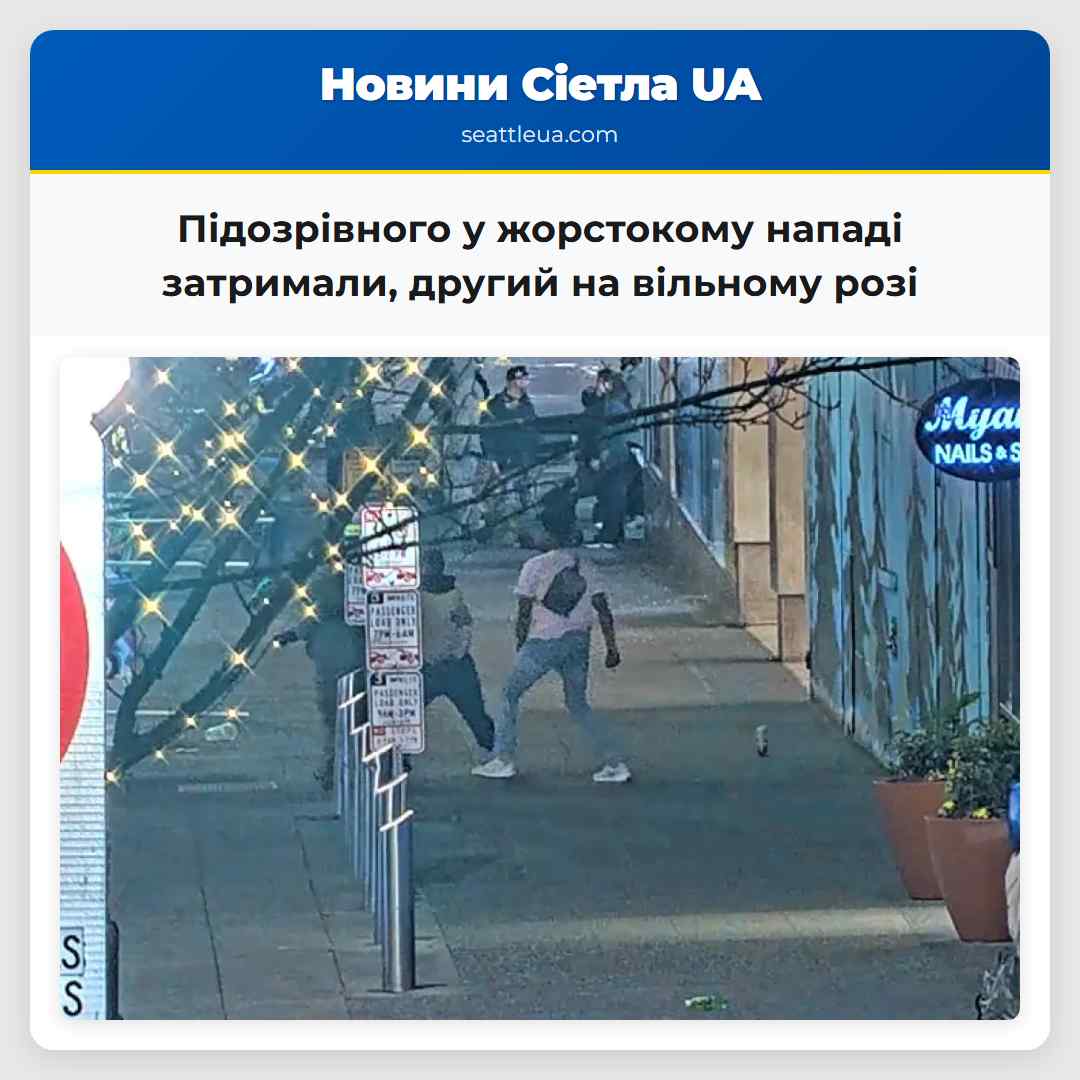 Підозрівного у жорстокому нападі затримали другий на вільному розі