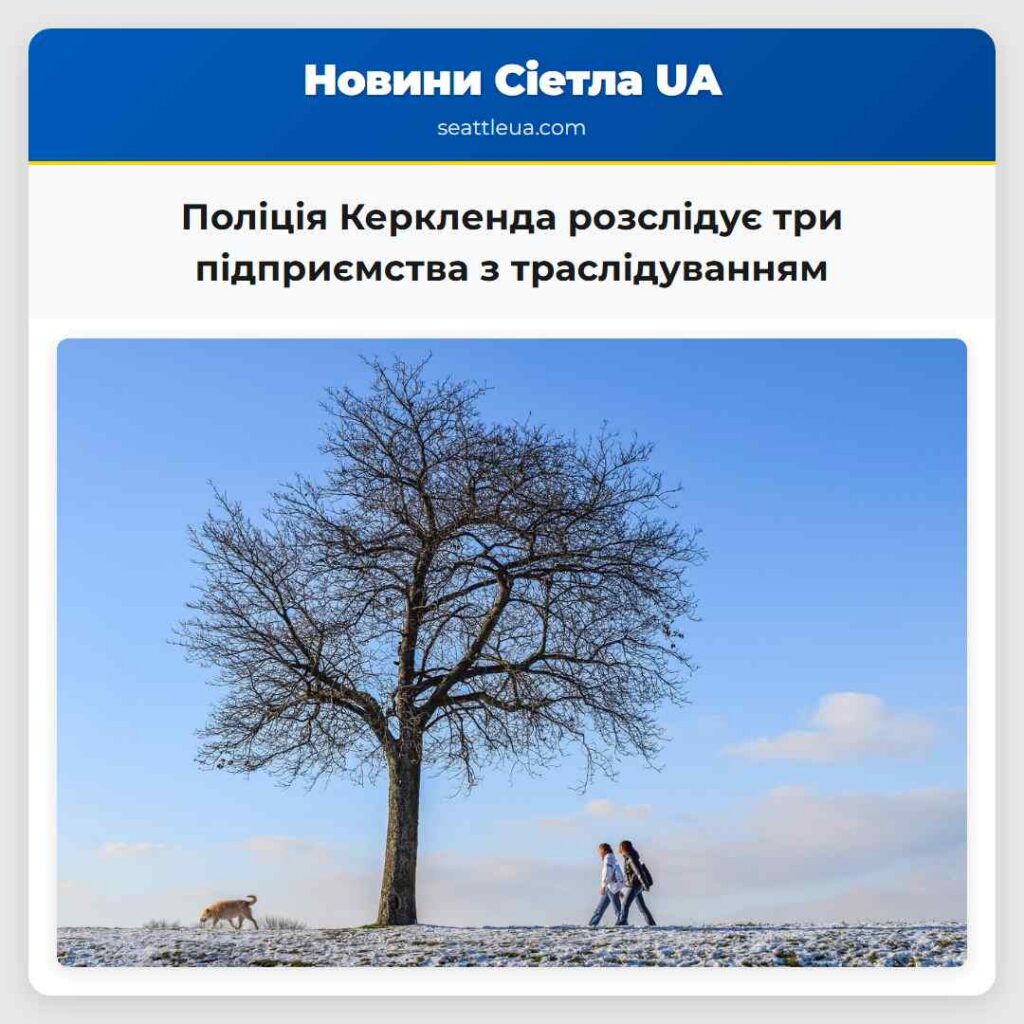 Поліція Керкленда розслідує три підприємства з
