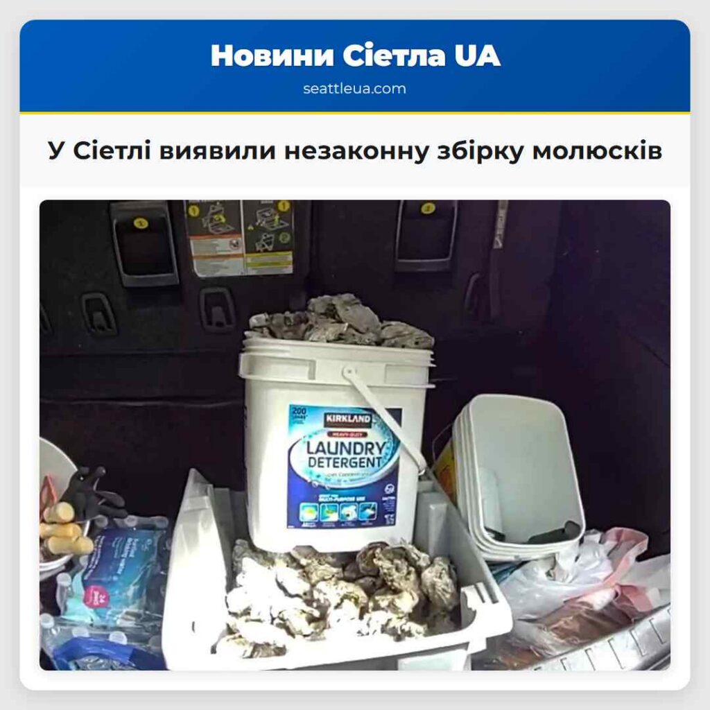 У Сіетлі виявили незаконну збірку молюсків