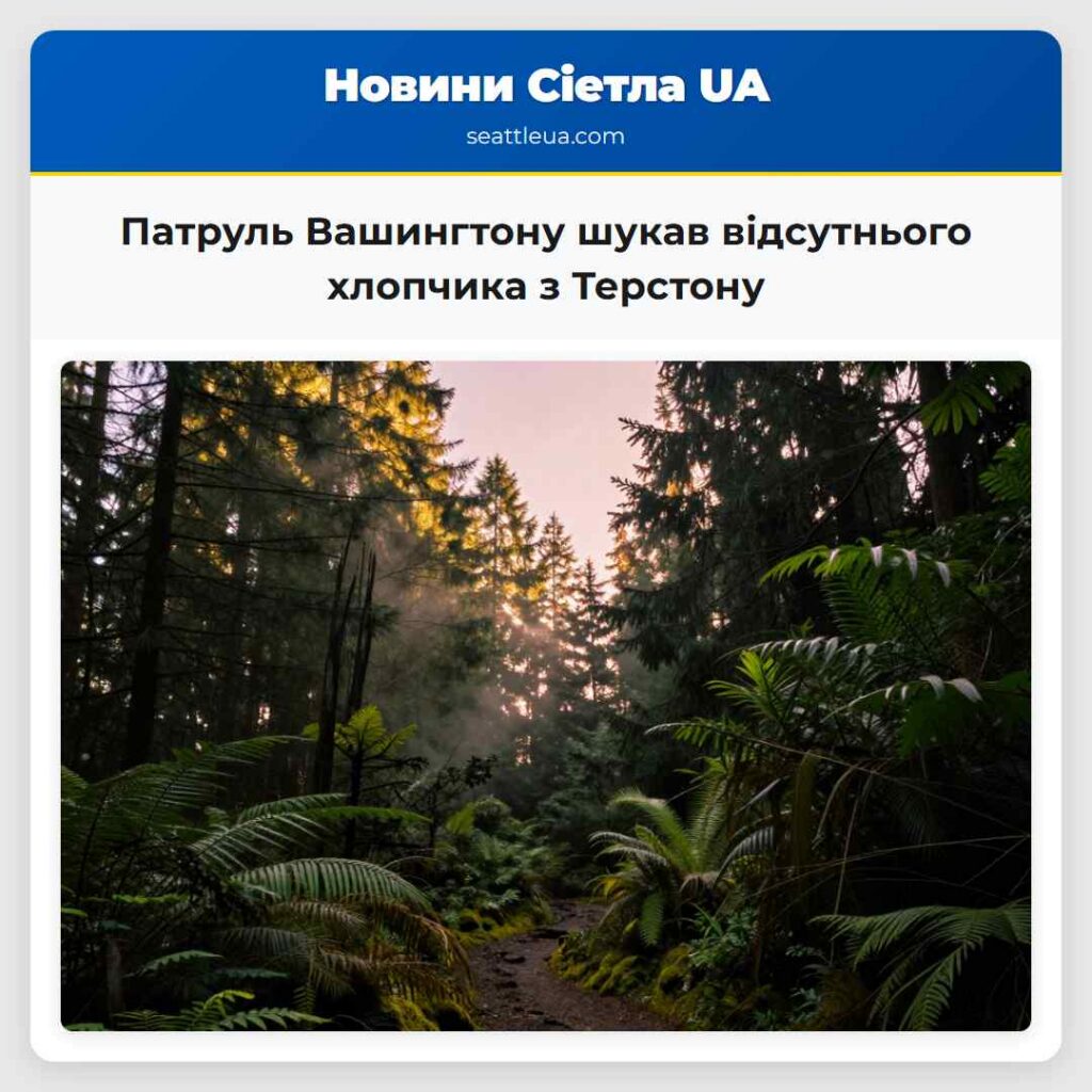 Патруль Вашингтону шукав відсутнього хлопчика з