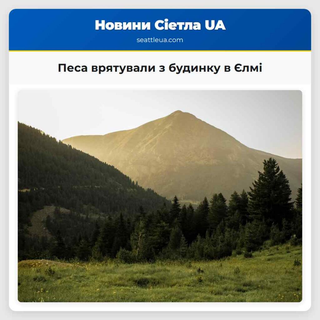 Песа врятували з будинку в Єлмі