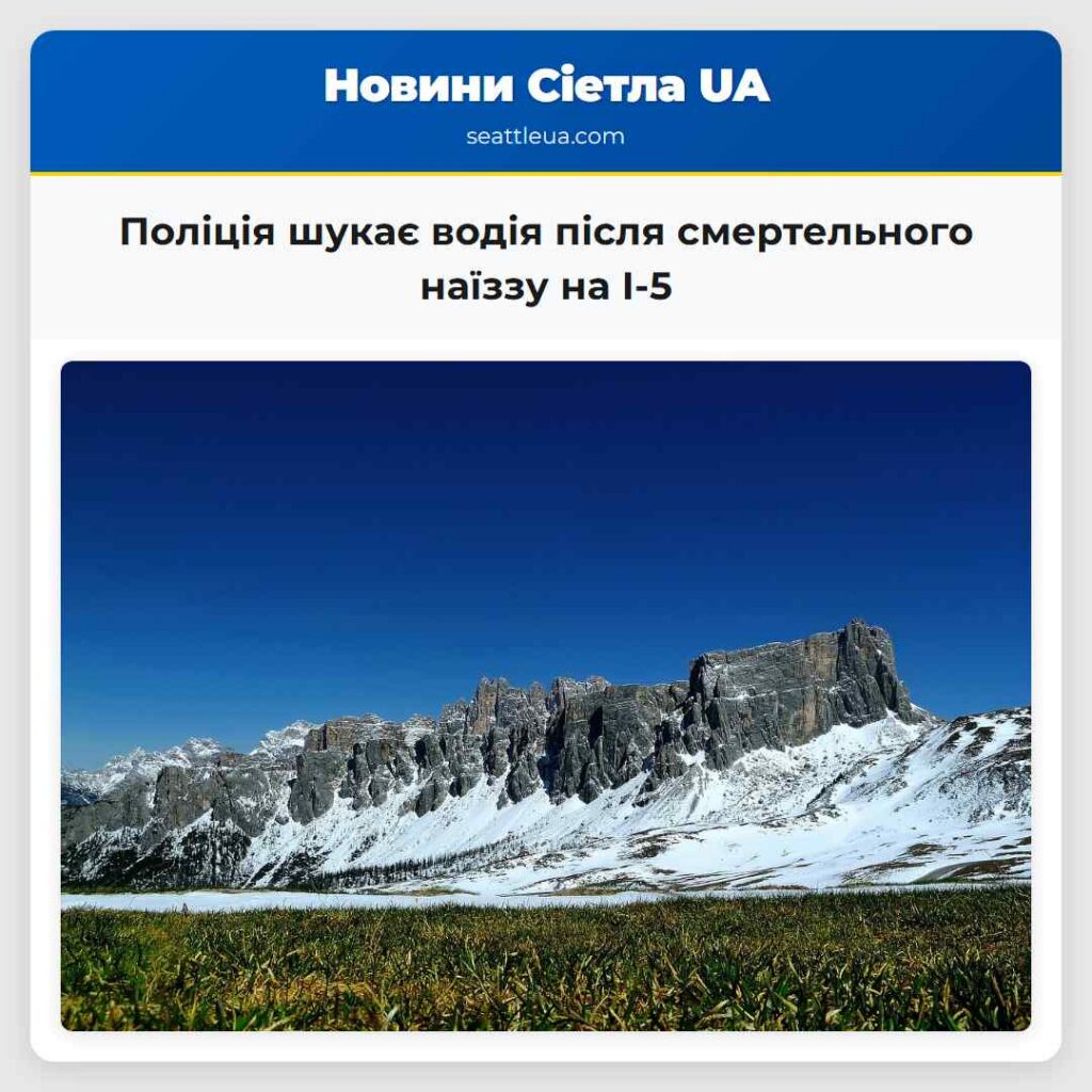 Поліція шукає водія після смертельного наїззу на