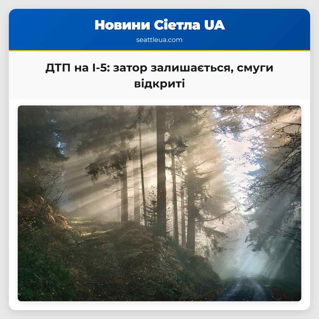 ДТП на I-5 затор залишається смуги відкриті