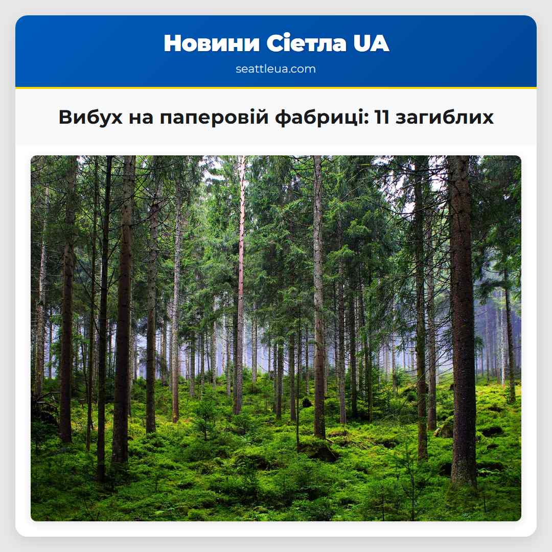 Вибух на паперовій фабриці 11 загиблих