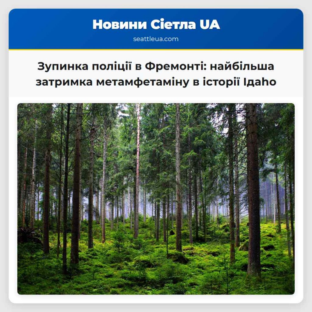 Зупинка поліції в Фремонті: найбільша затримка