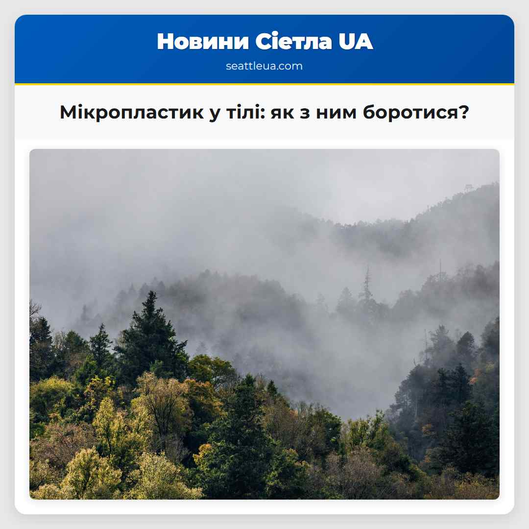 Мікропластик у тілі як з ним боротися?