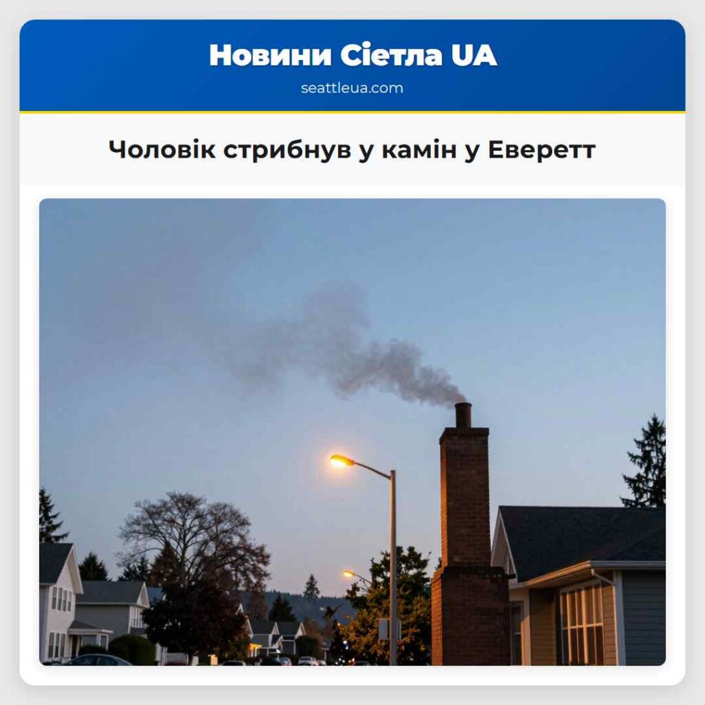 Чоловік стрибнув у камін у Еверетт