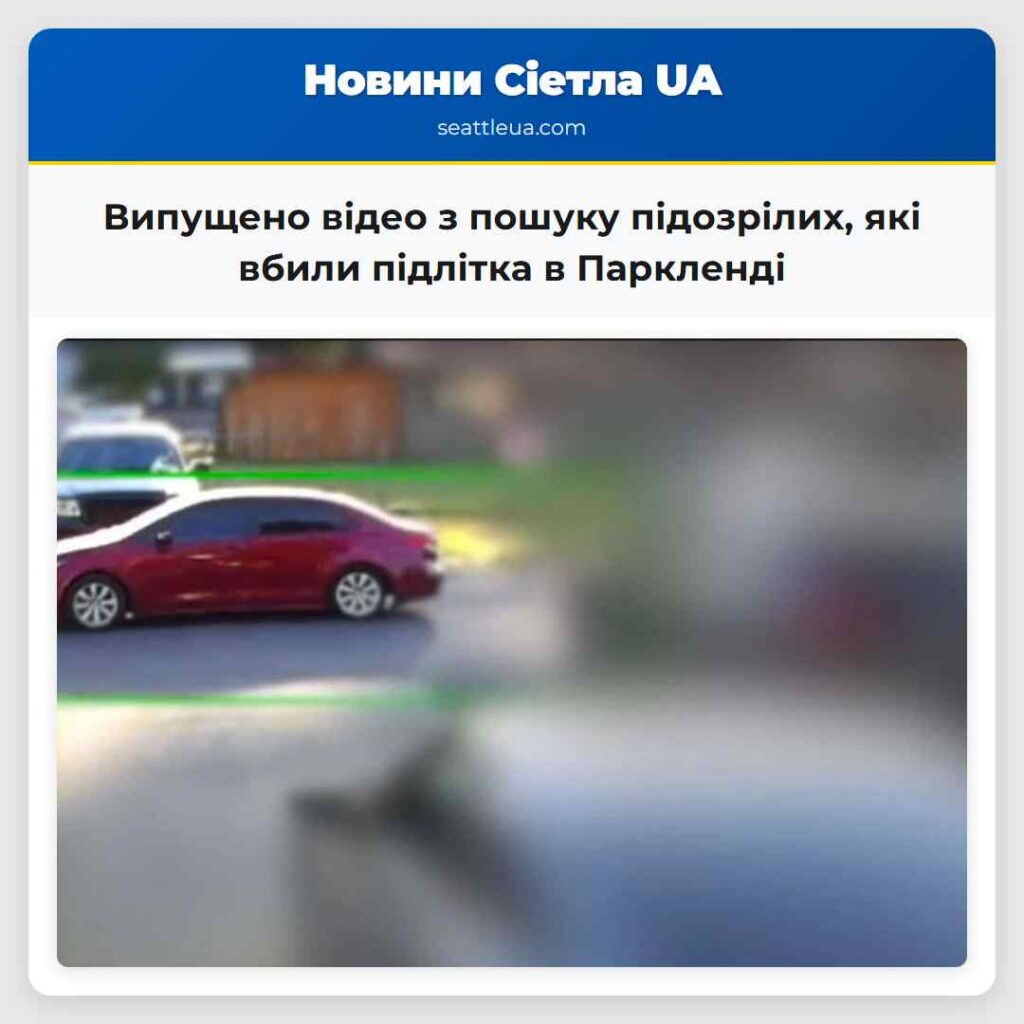 Випущено відео з пошуку підозрілих, які вбили