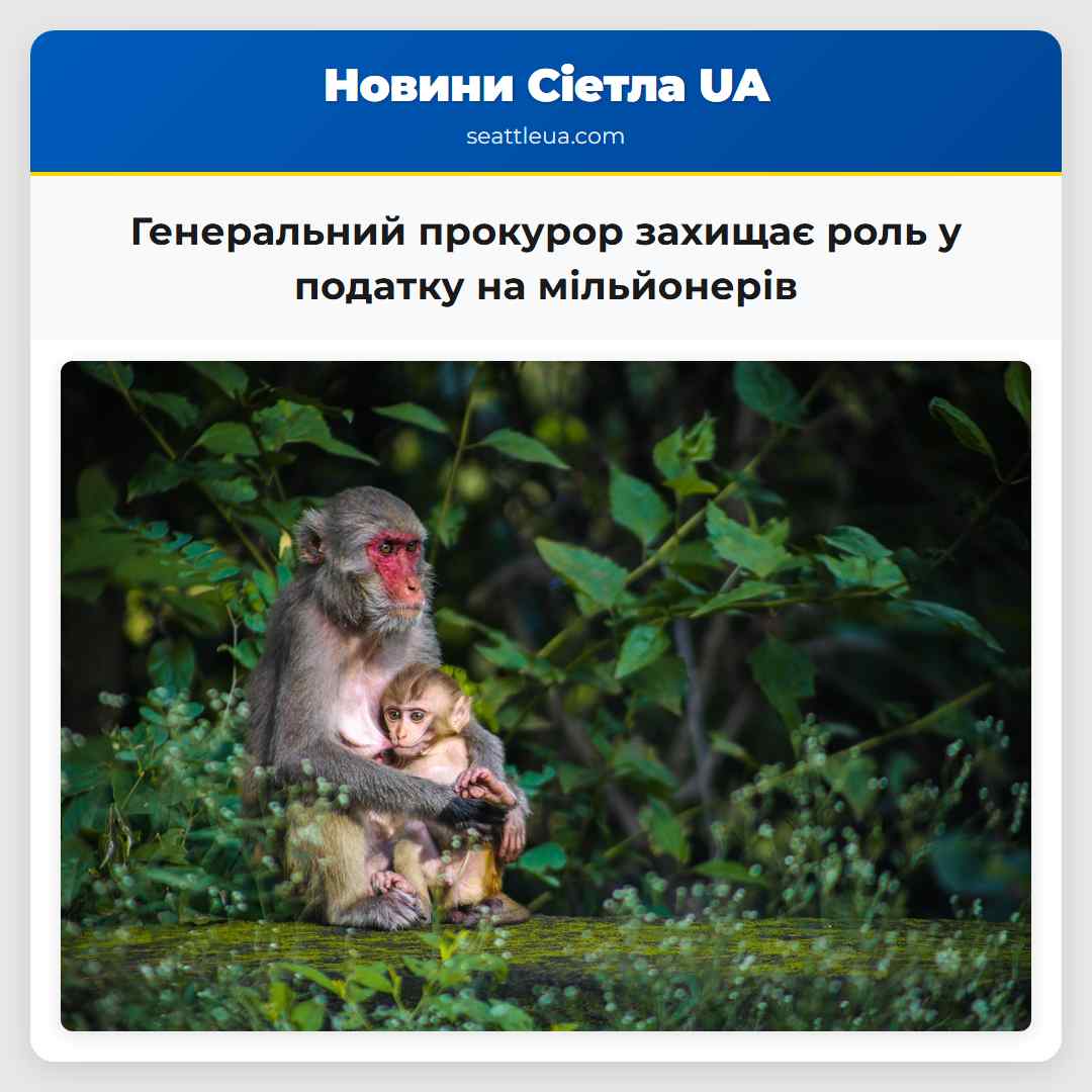 Генеральний прокурор захищає роль у податку на мільйонерів