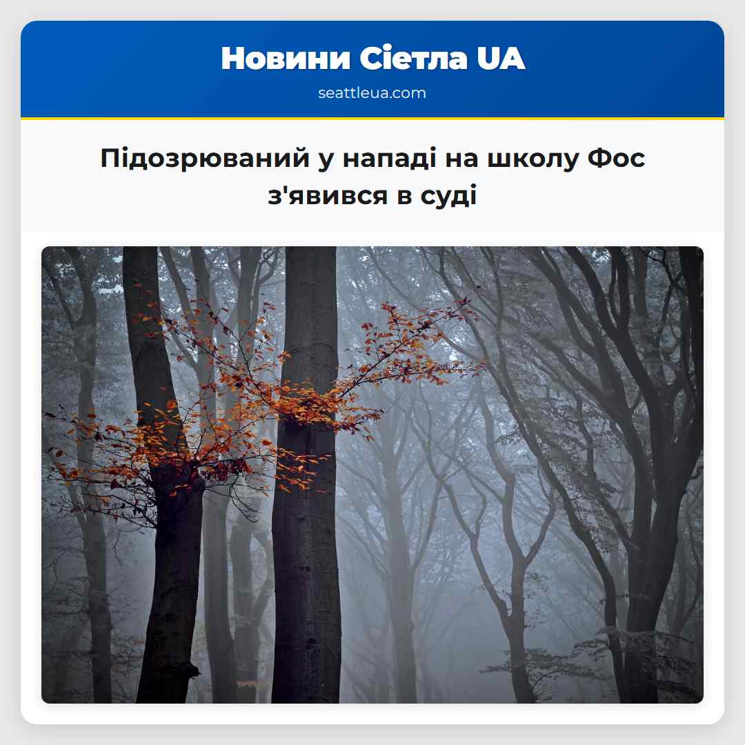 Підозрюваний у нападі на школу Фос зявився в суді