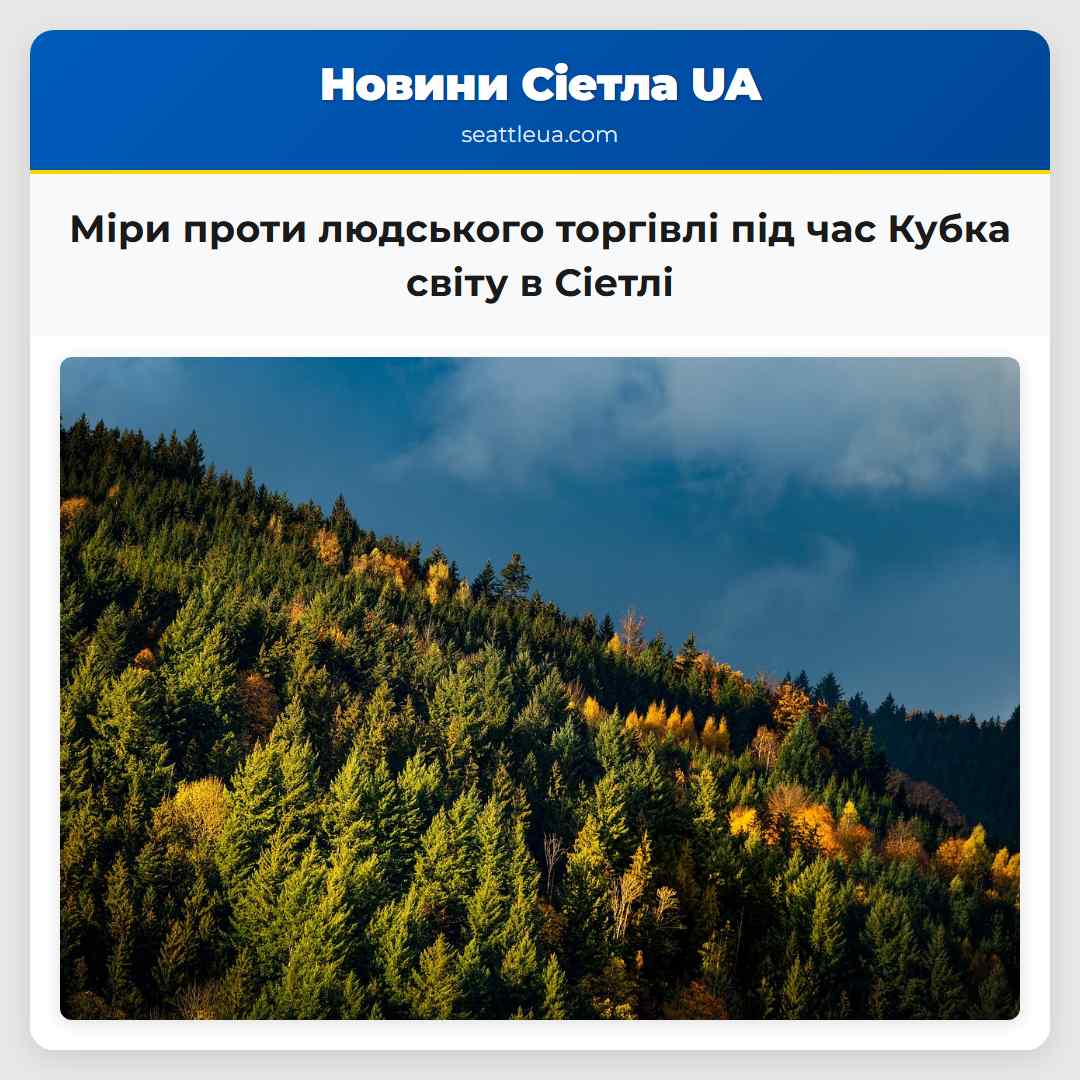 Міри проти людського торгівлі під час Кубка світу