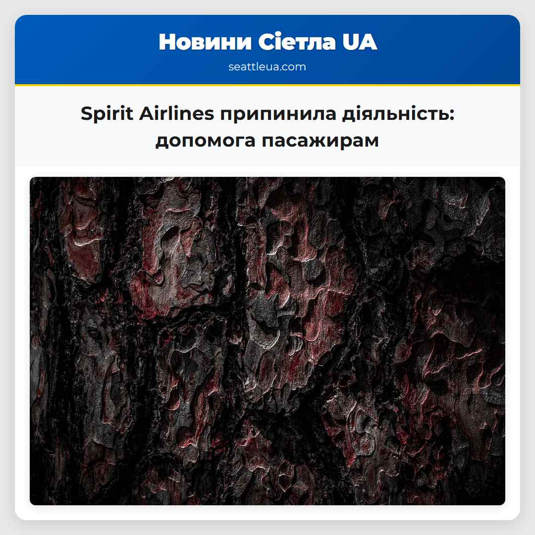 Spirit Airlines припинила діяльність допомога пасажирам