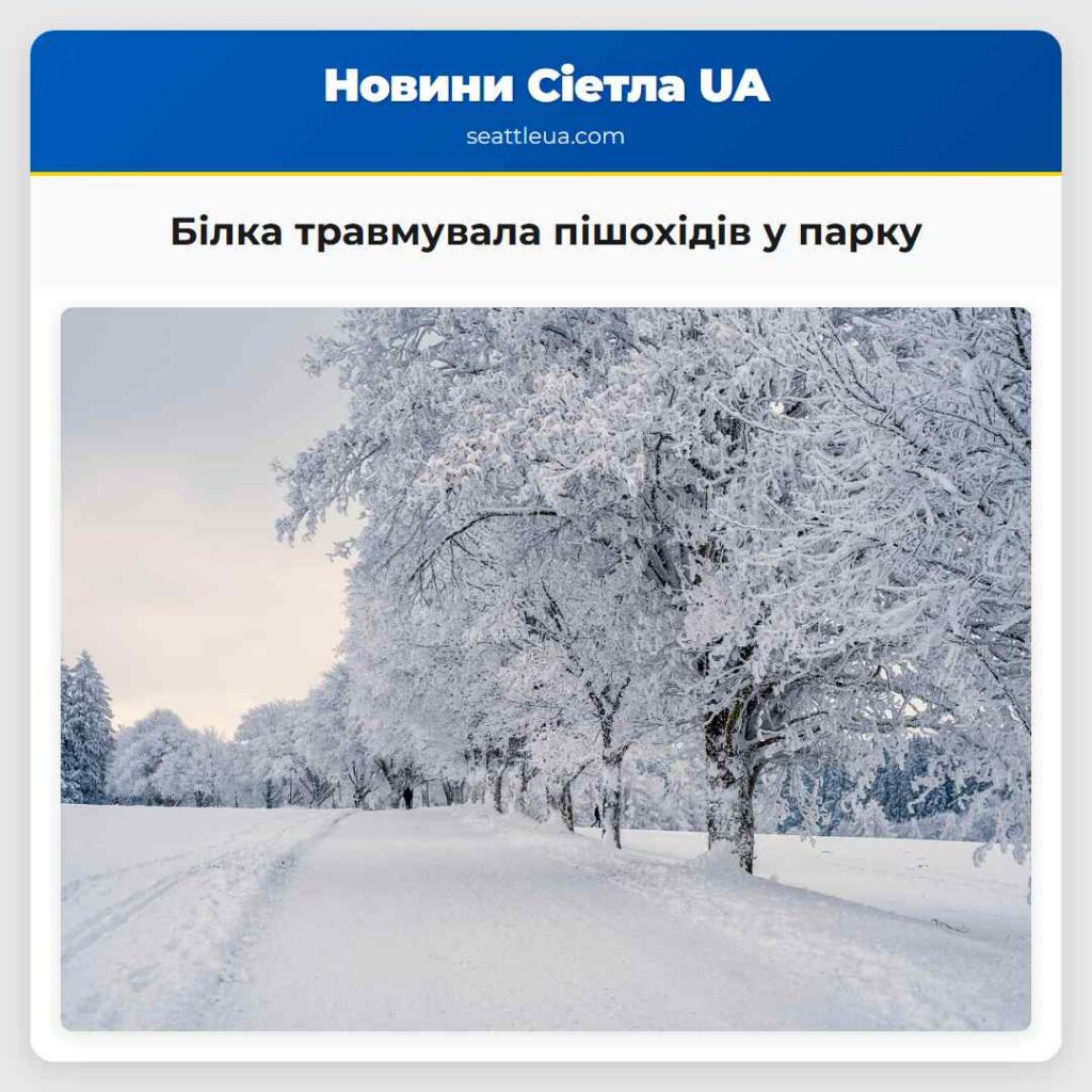 Білка травмувала пішохідів у парку