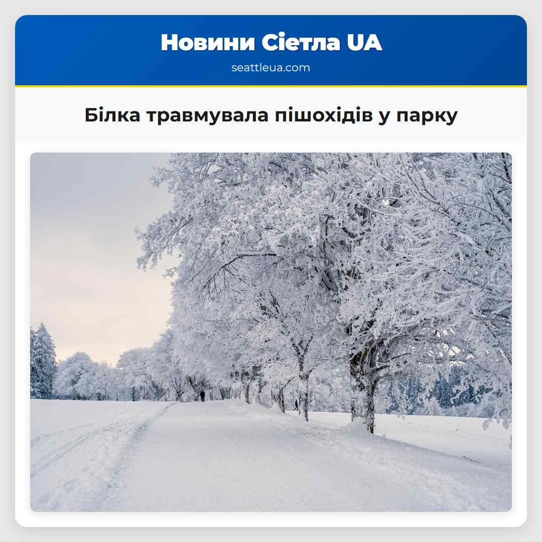 Білка травмувала пішохідів у парку