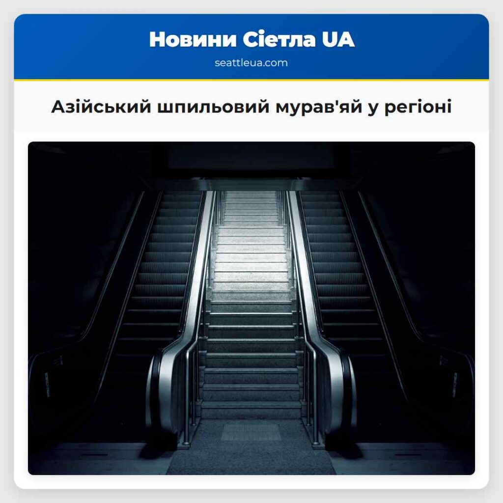 Азійський шпильовий мурав'яй у регіоні