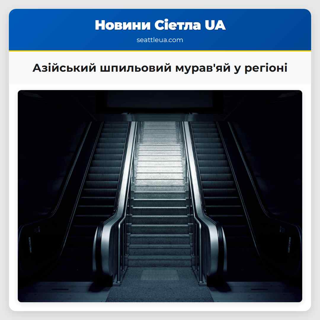 Азійський шпильовий муравяй у регіоні