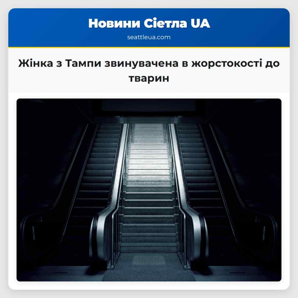 Жінка з Тампи звинувачена в жорстокості до тварин