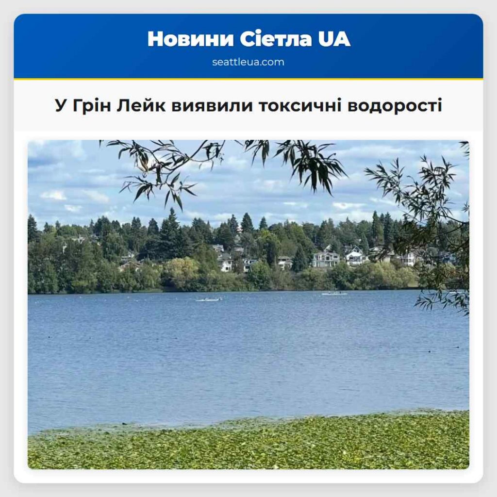 У Грін Лейк виявили токсичні водорості