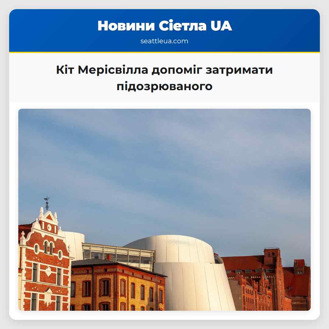 Кіт Мерісвілла допоміг затримати підозрюваного