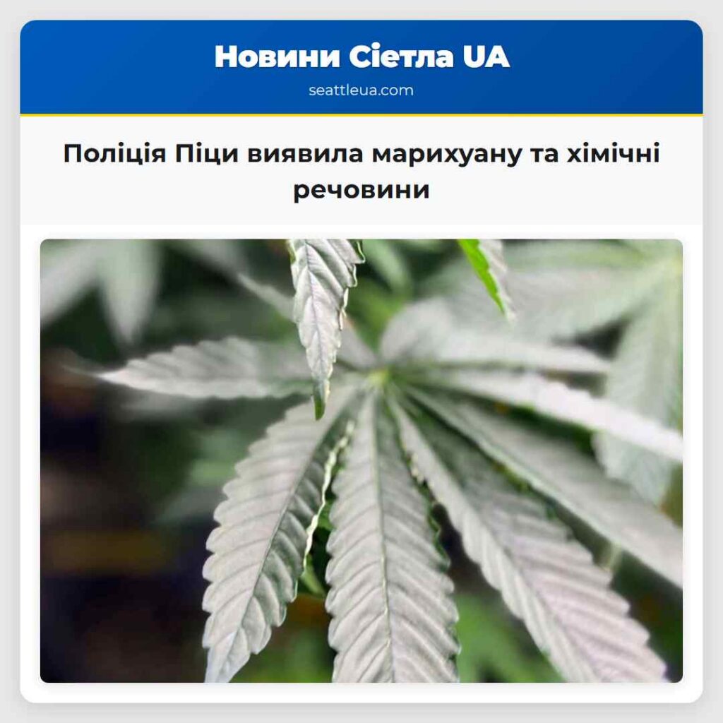 Поліція Піци виявила марихуану та хімічні речовини