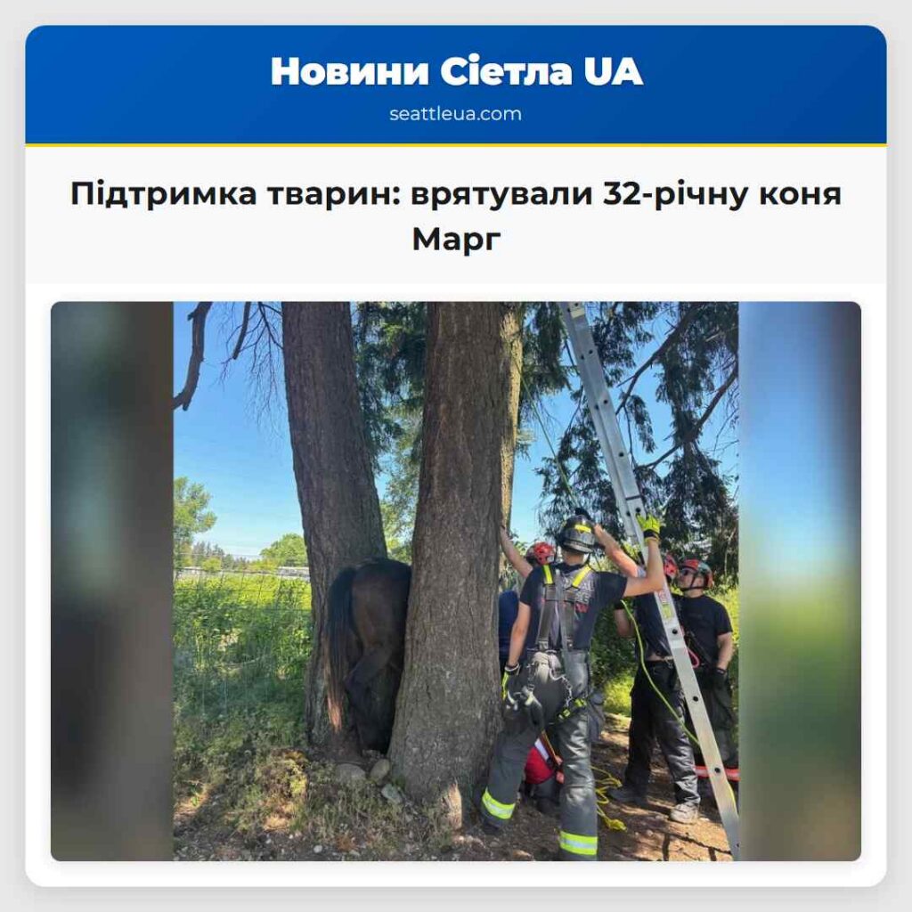 Підтримка тварин: врятували 32-річну коня Марг