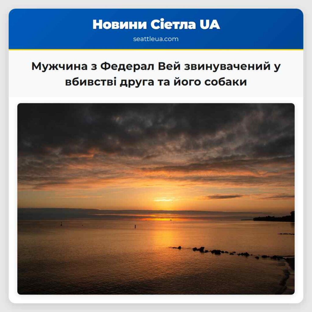Мужчина з Федерал Вей звинувачений у вбивстві