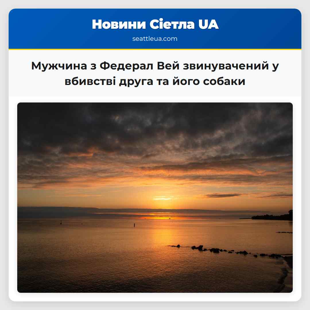 Мужчина з Федерал Вей звинувачений у вбивстві друга та його собаки