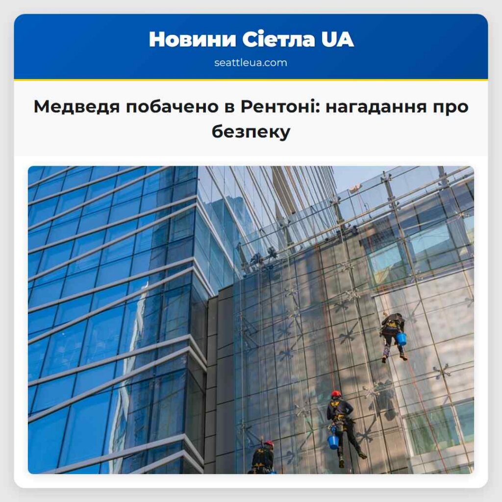 Медведя побачено в Рентоні: нагадання про безпеку