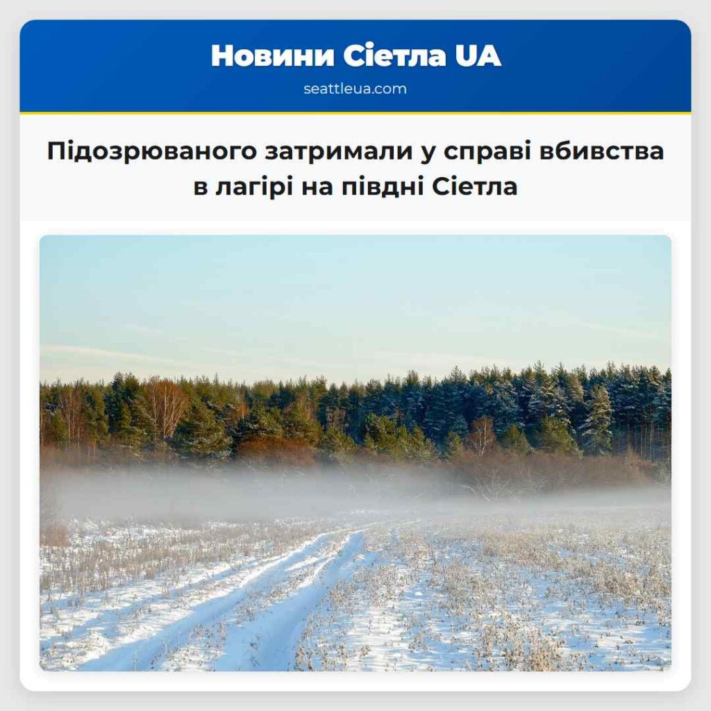 Підозрюваного затримали у справі вбивства в