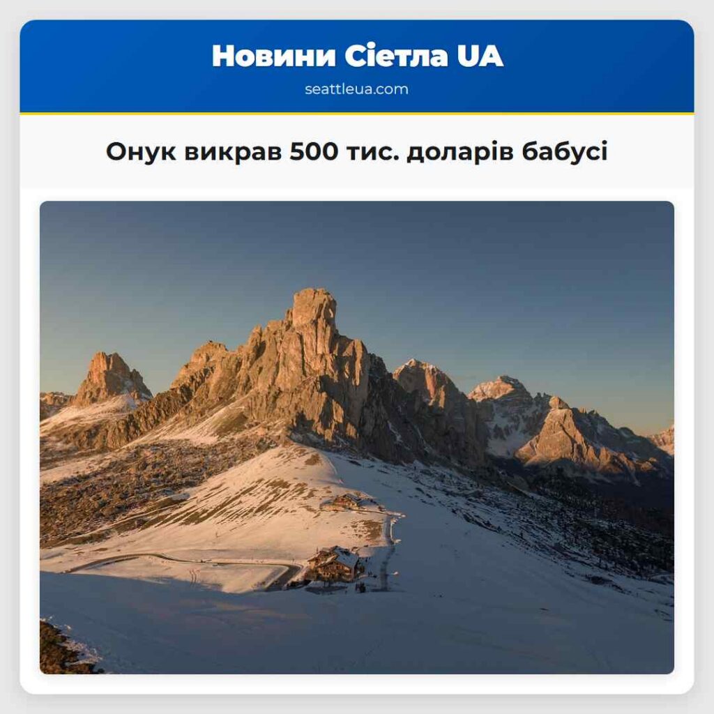 Онук викрав 500 тис. доларів бабусі